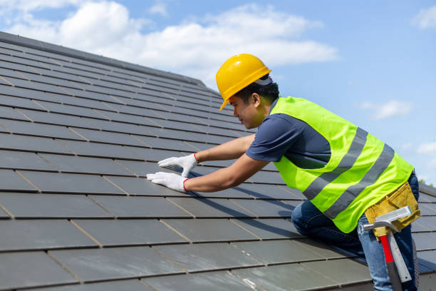 Roof Gutter Cleaning in Deerfield, MI