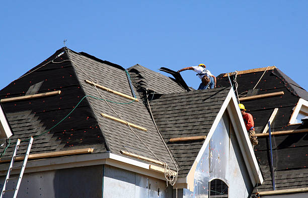 Best Roof Restoration Services  in Deerfield, MI