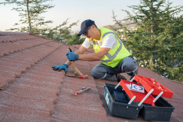 Best Best Roofing Contractors  in Deerfield, MI